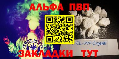 стаф Берёзовский