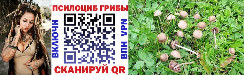 Галлюциногенные грибы GOLDEN TEACHER  купить  цена  Всеволожск 