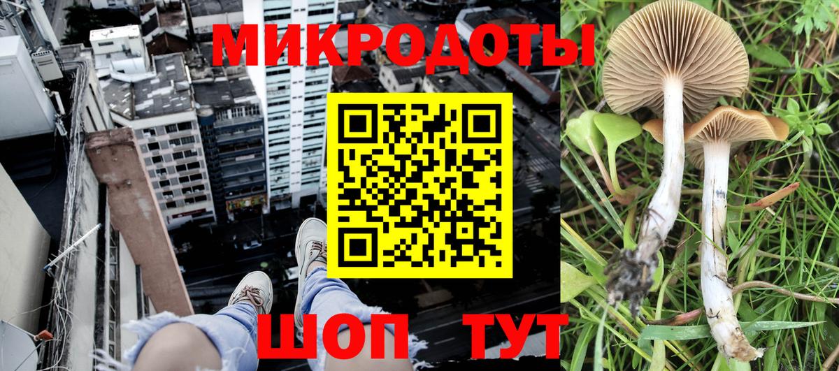 Галлюциногенные грибы MAGIC MUSHROOMS Всеволожск